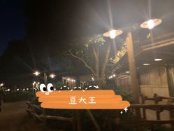 点击看大图 -翱翔飞越地平线