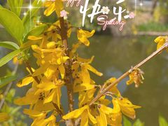 -泰州凤城河风景区-泰山公园