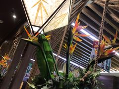 -云海肴云南菜·蒸汽石锅鱼(北京良乡华冠店)