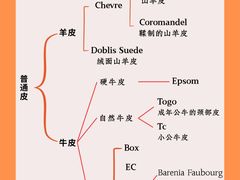 -海星奢选二手奢侈品手表包包鉴定回收寄卖(墨玉南路店)