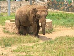 -西安秦岭野生动物园