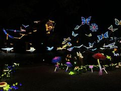 -台山颐和温泉城