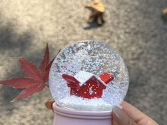 -红楼HONGLOU Gelato(淮海中路店)