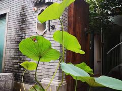 -糖房咖啡(南锣鼓巷店)