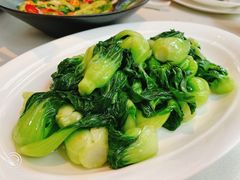 -芙蓉堂(武汉天地店)