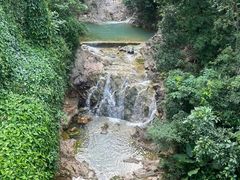 -南海湾森林生态园