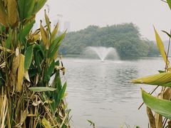 -重庆彩云湖湿地公园
