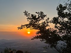-紫金山山顶公园