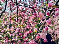 -狼山风景名胜区