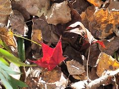 -道须沟旅游风景区