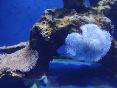 -海合安武汉极地海洋公园