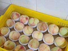 -老袁家蜜桃农场·阳山水蜜桃