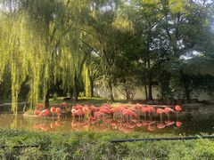 -石家庄市动物园