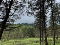 -硗碛藏寨·神木垒景区