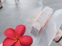 -詹爷爷乌节路街头冰淇淋