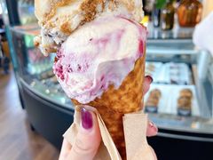 -Patagonia Chocolates(皇后镇店)