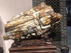 -游龙石文化科普馆