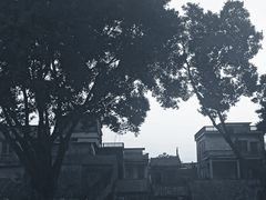 -水乡人家私房菜(逢简店)