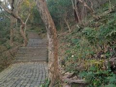 -紫金山天文台
