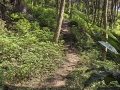 -金堂县云顶石城风景区