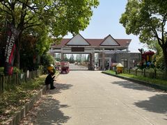 -上海都市菜园