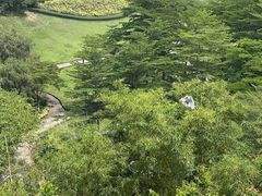 -广州莲花山旅游区
