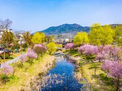 -石塘人家