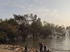 -宝安西湾红树林湿地公园