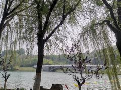 -河北省园博园