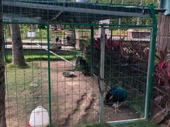 -西双版纳融创皇冠假日度假酒店