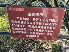 -天马岛度假区