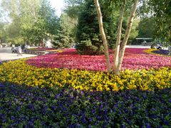 -哈尔滨文化公园