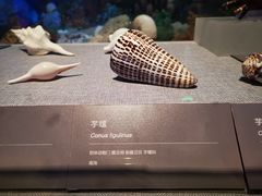 -中国（海南）南海博物馆