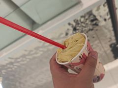 开心果风味暴风雪-DQ·蛋糕·冰淇淋(嘉兴南湖万达店)