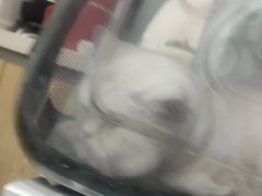 -全心全意连锁动物医院·微创中心·内科急重症·心脏专科(丰管路店)
