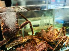 -万龙洲海鲜(大兴绿地缤纷城店)