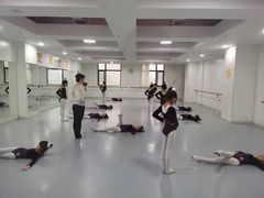 -西安小天鹅艺术团(金花路校区)