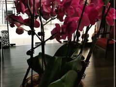 -LANN I 蘭 泰式古法按摩(徐家汇城开YOYO店)