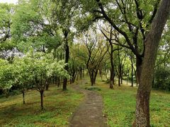 -上海市保健医疗中心