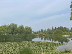 -呈贡滇池生态湿地公园