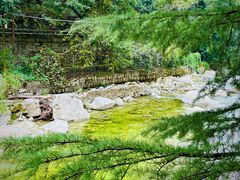 -沣峪森林公园龙潭戏水景区