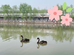 -河北村民俗体验园