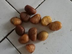 -粒上皇(衡阳雁城先锋路店)