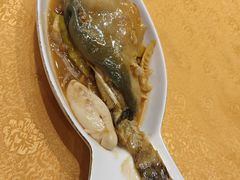 -孔庆璞河豚馆(白玉兰酒店)