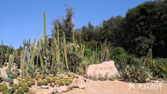 廈門市園林植物園圖片