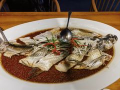 -丹江渔村(望京店)