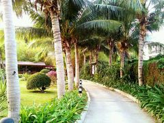 android_upload_pic-三亚亚龙湾凯莱仙人掌度假酒店