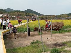 -红山村