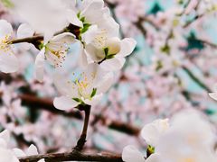 -红星美凯龙(东北全球家居1号店)