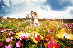 点击看大图 飞鱼婚纱摄影-飞鱼婚纱摄影(宏福大厦店)
